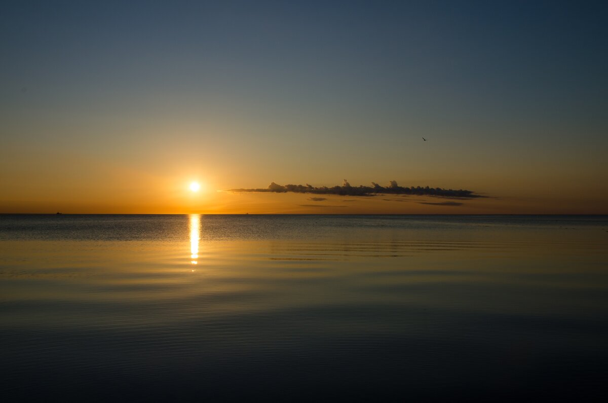 Белое море - Елена Кордумова