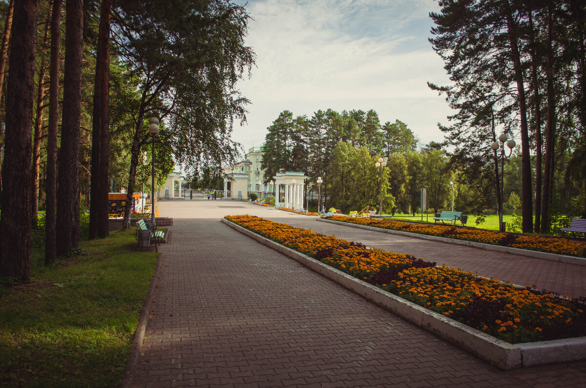 В парке. - Вадим Басов