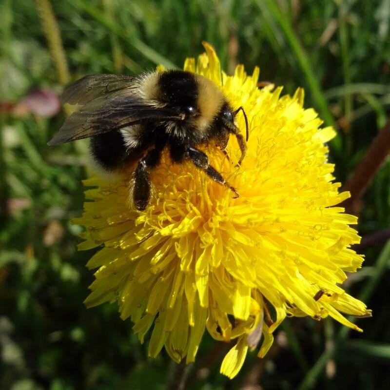Я на солнышке сижу... - kudrni Кудрявцева Я на солнышке сижу... - kudrni Кудрявцева
