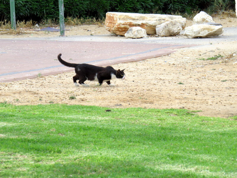на охоте! - Герович Лилия 