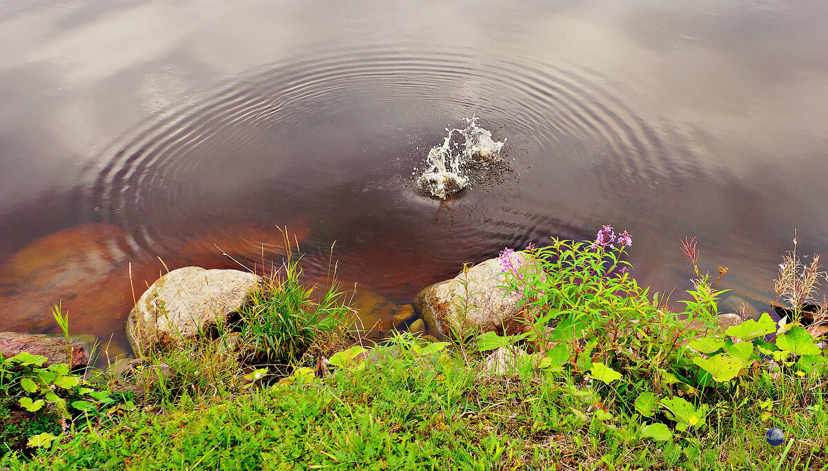 Осени всплеск - Екатерина Забелина