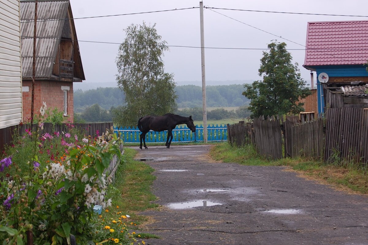 Один. Совсем один. - Надежда 