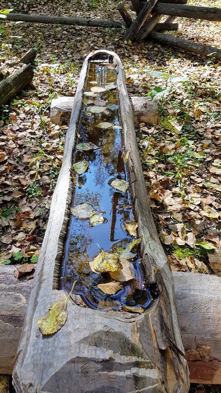 Испить настоя на травах есть желающие? - Светлана 