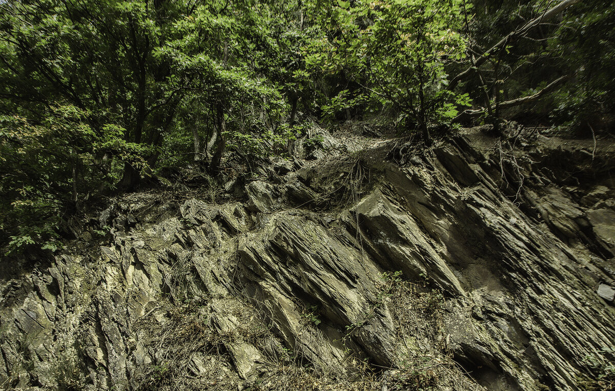 Жизнь на камнях - Alexander Andronik