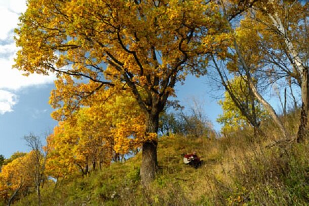 Осень в Яхроме - Игорь Нечаев