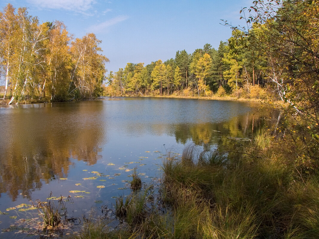 *** - Николай 