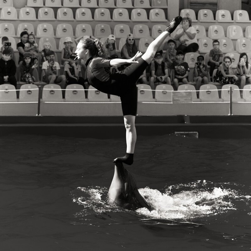 О надёжности опоры. - Андрий Майковский О надёжности опоры. - Андрий Майковский