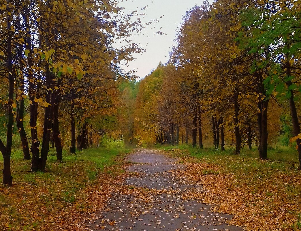 Золотая осень . - Мила Бовкун