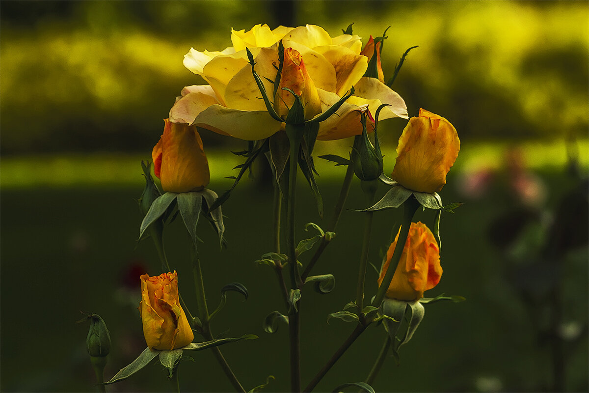 *** - Александр 