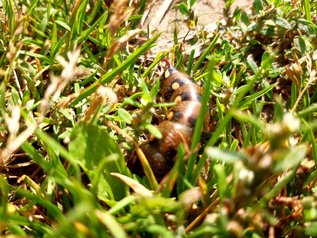 Попытка маскировки - Екатерина К. Попытка маскировки - Екатерина К.