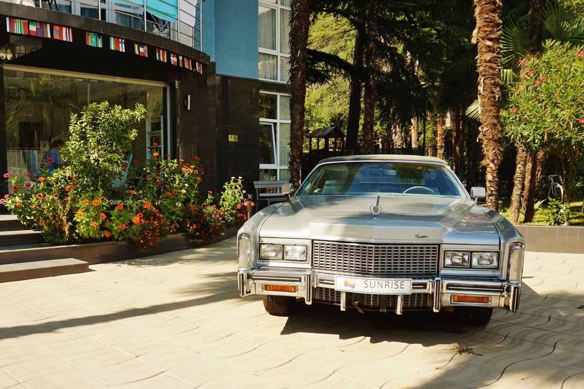 На территории отеля Sunrise - Nataly St. На территории отеля Sunrise - Nataly St.