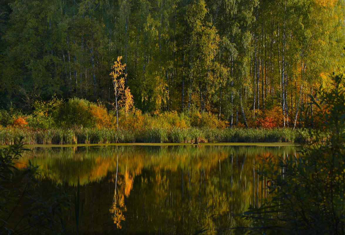 Засентябрило... - Olenka Засентябрило... - Olenka
