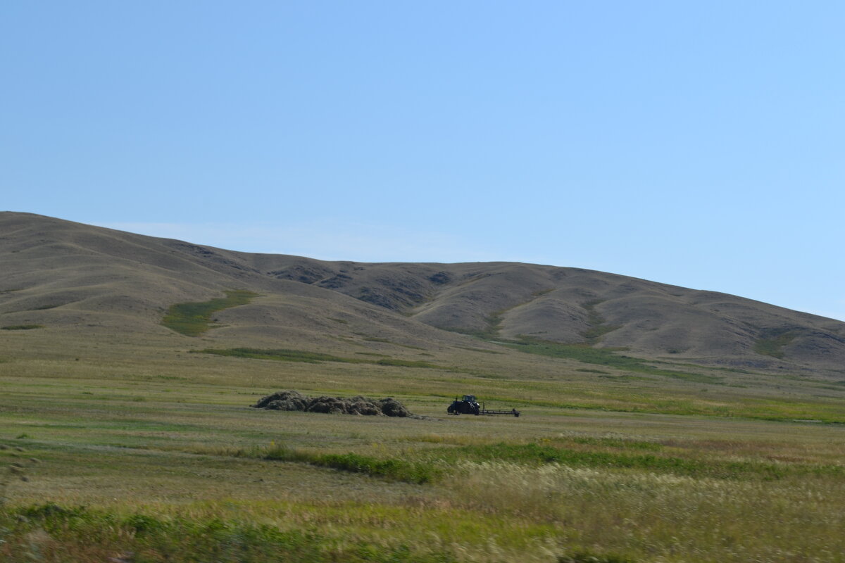 Сенокос в сопках Баянаульской волости... - Андрей Хлопонин