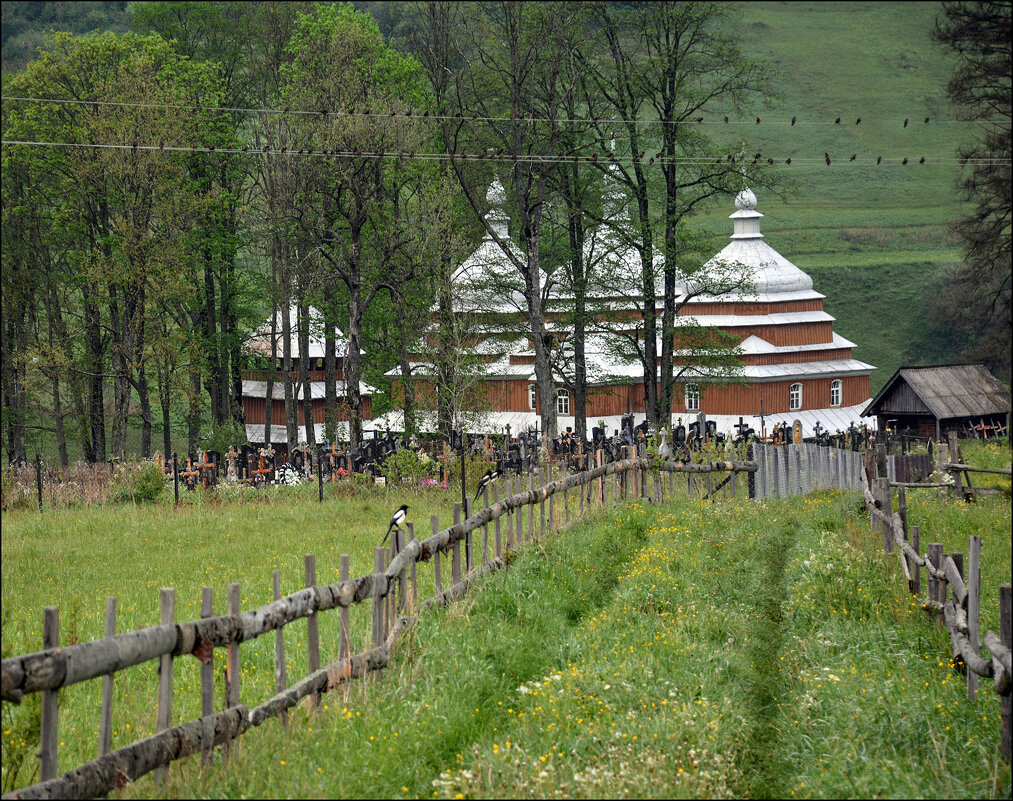 В Карпатах. - Юрий Гординский