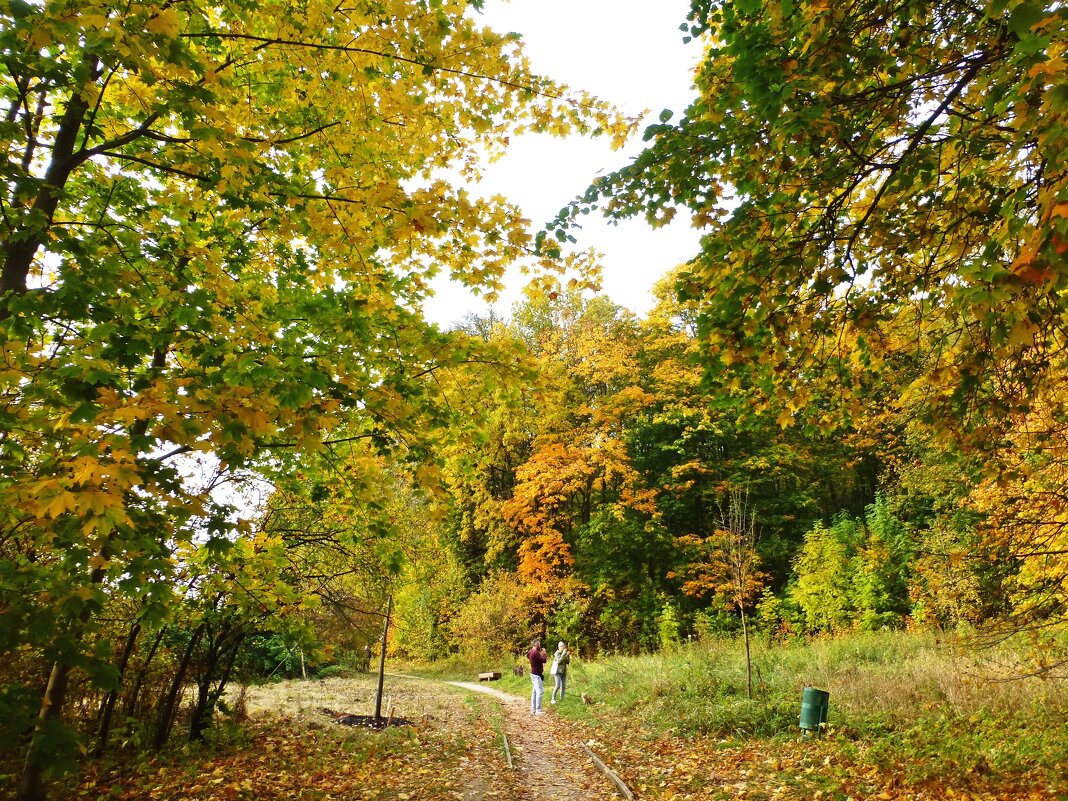 Краски октября - Лидия Бусурина Краски октября - Лидия Бусурина