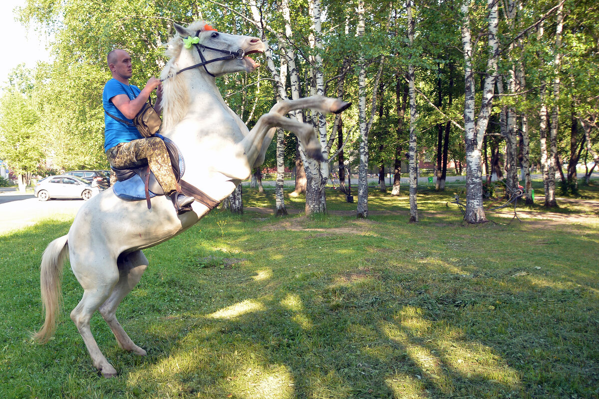 *** - леонид логинов