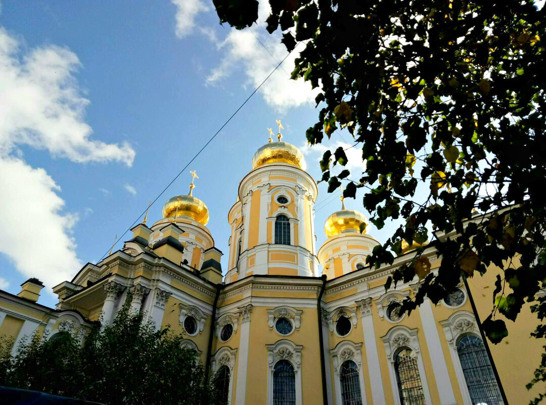 Владимирский собор. - Елена Виноградова