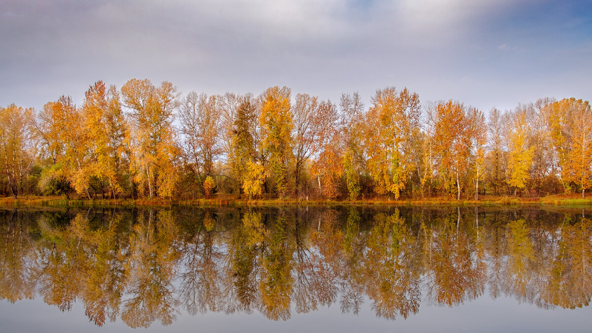 *** - Евгений Герасименко
