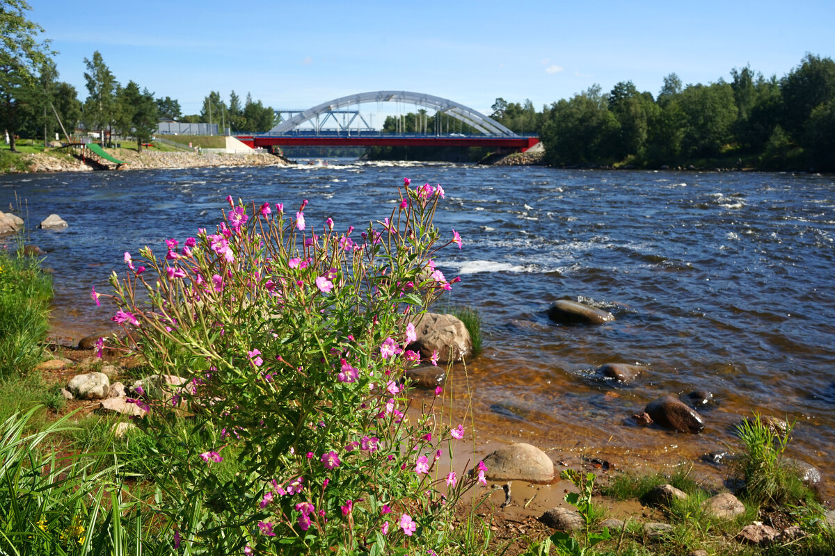 река Вуокса - Анастасия Софронова