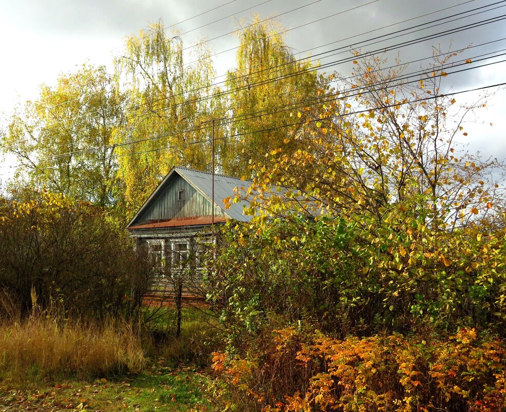 В осеннем убранстве - Андрей Снегерёв