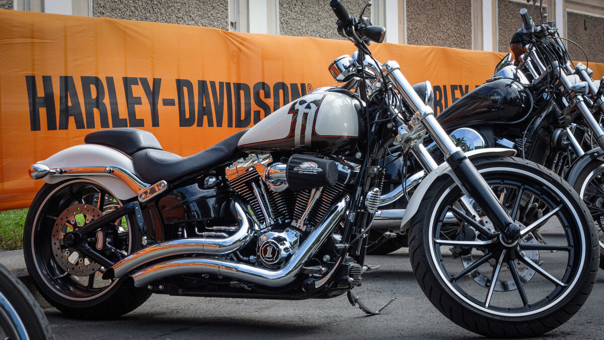 Harley Davidson Saint Petersburg - Sasha Bobkov