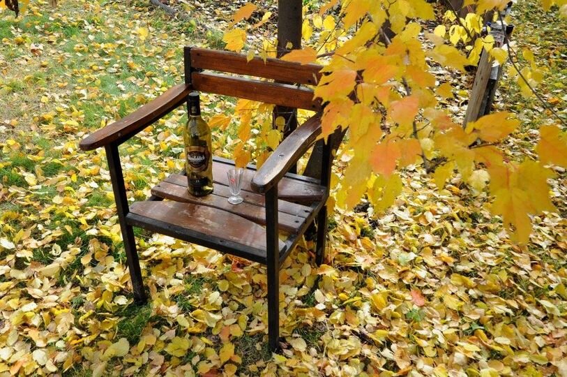 Выпьем за золотую осень! - Борис 