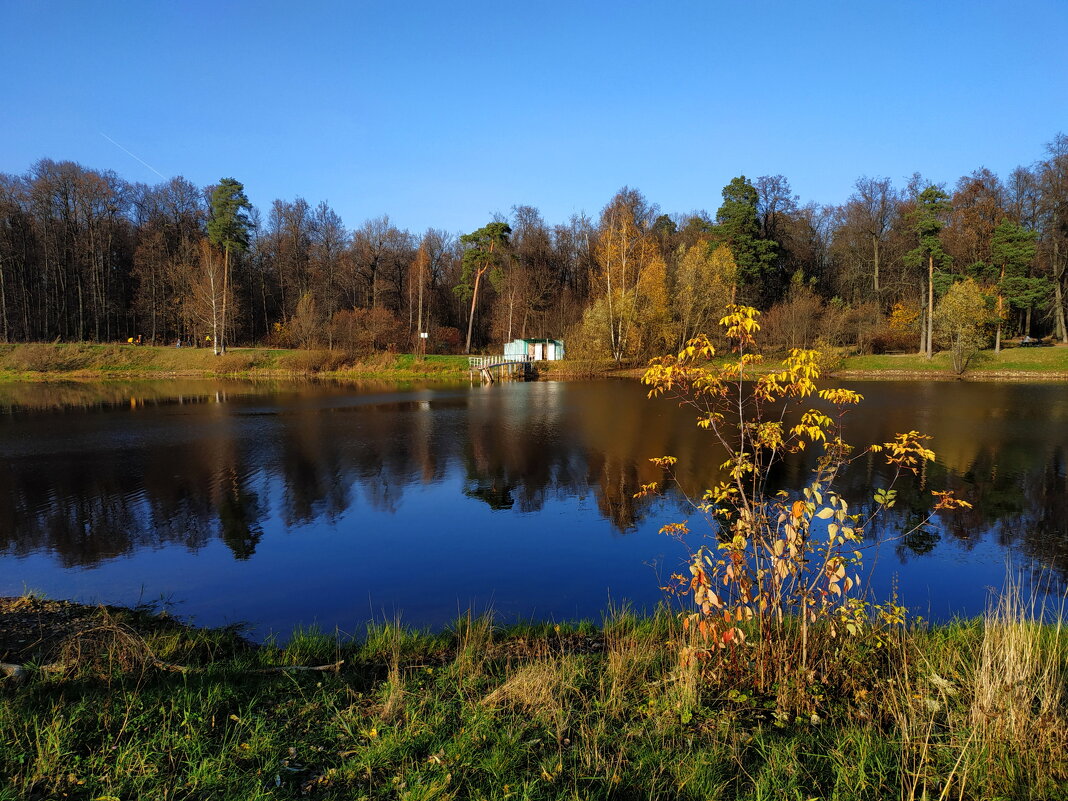 Вам все еще не нравится октябрь? - Андрей Лукьянов Вам все еще не нравится октябрь? - Андрей Лукьянов