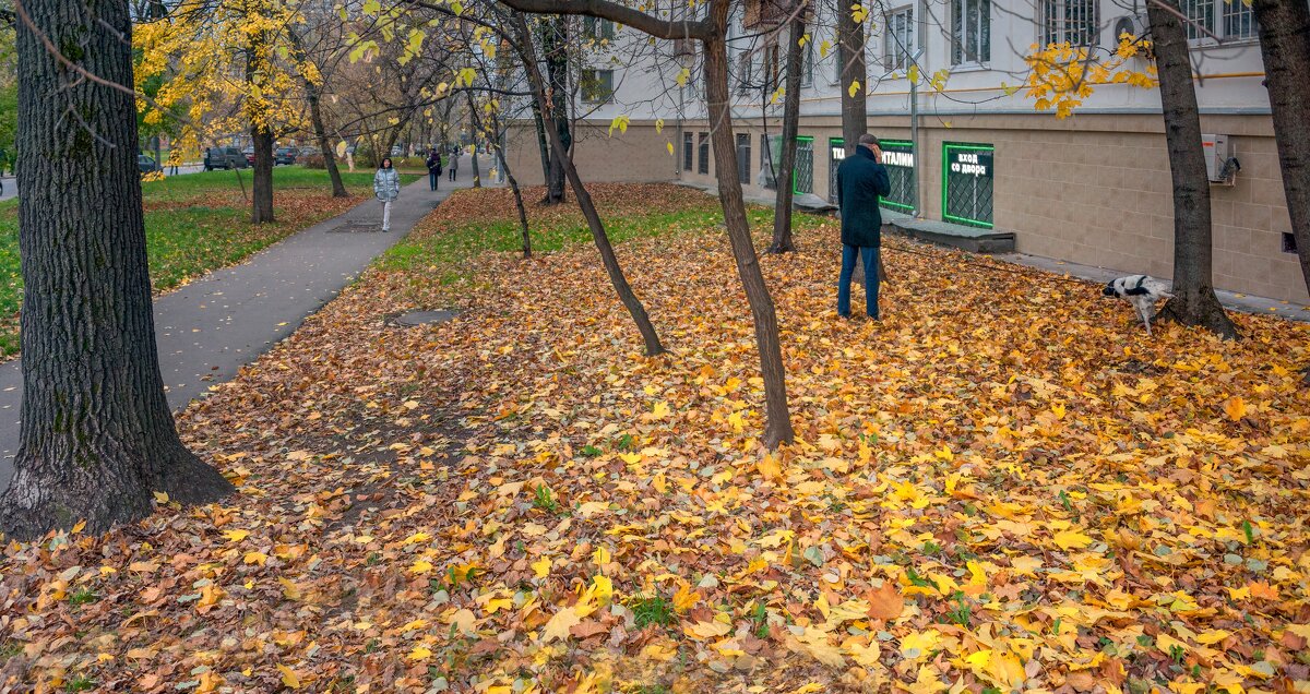 Московское осеннее утро - Валерий Иванович