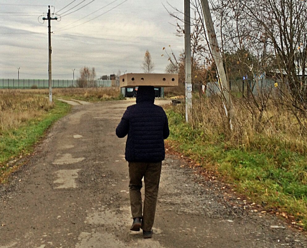 "Африканские женщины отдыхают!"(Полная коробка с замороженными курами) - Виталий Селиванов "Африканские женщины отдыхают!"(Полная коробка с замороженными курами) - Виталий Селиванов