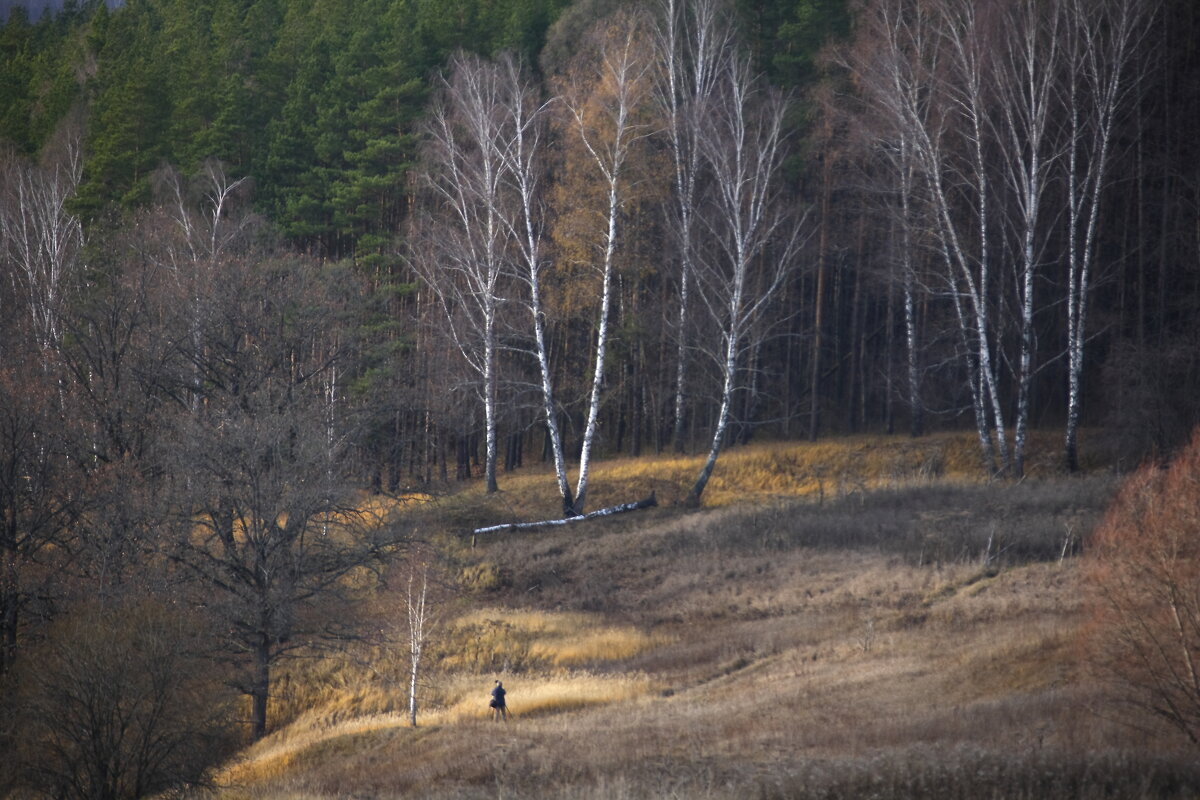 На натуре. - Алекс Ант