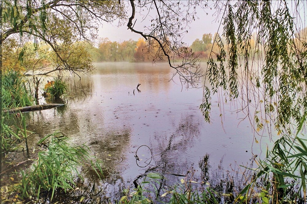 осень - юрий иванов 