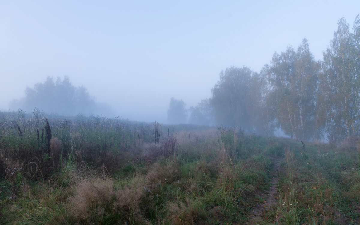 Синий туман. - Владимир Безбородов