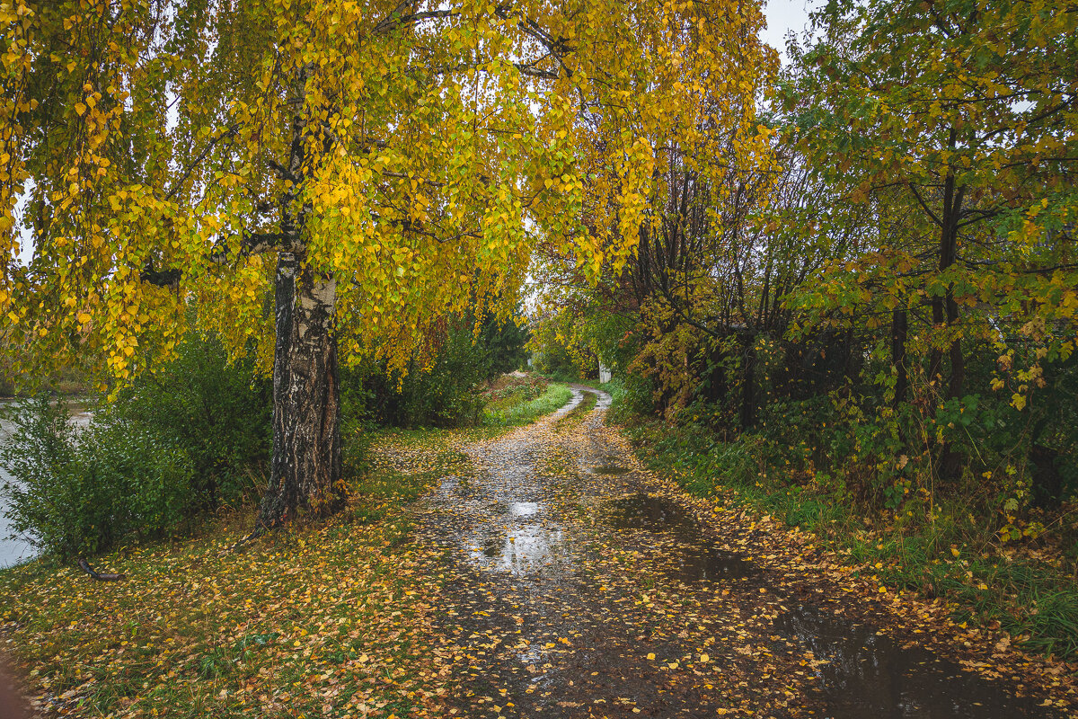 Сентябрь... - Александр 