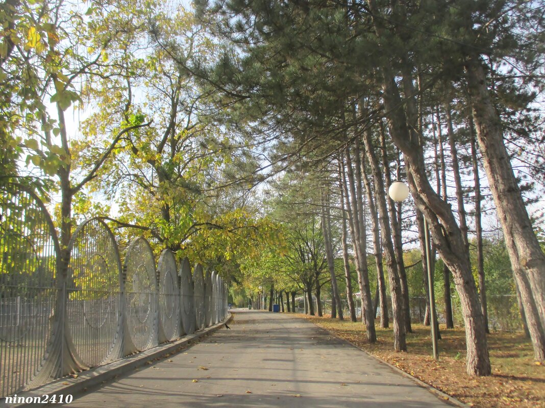 В ростовском зоопарке - Нина Бутко