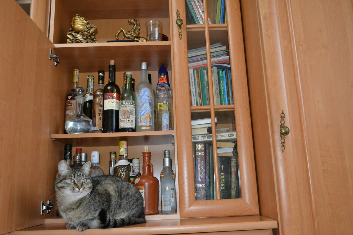 Главное ребята,сердцу не стареть.... - Андрей Хлопонин Главное ребята,сердцу не стареть.... - Андрей Хлопонин