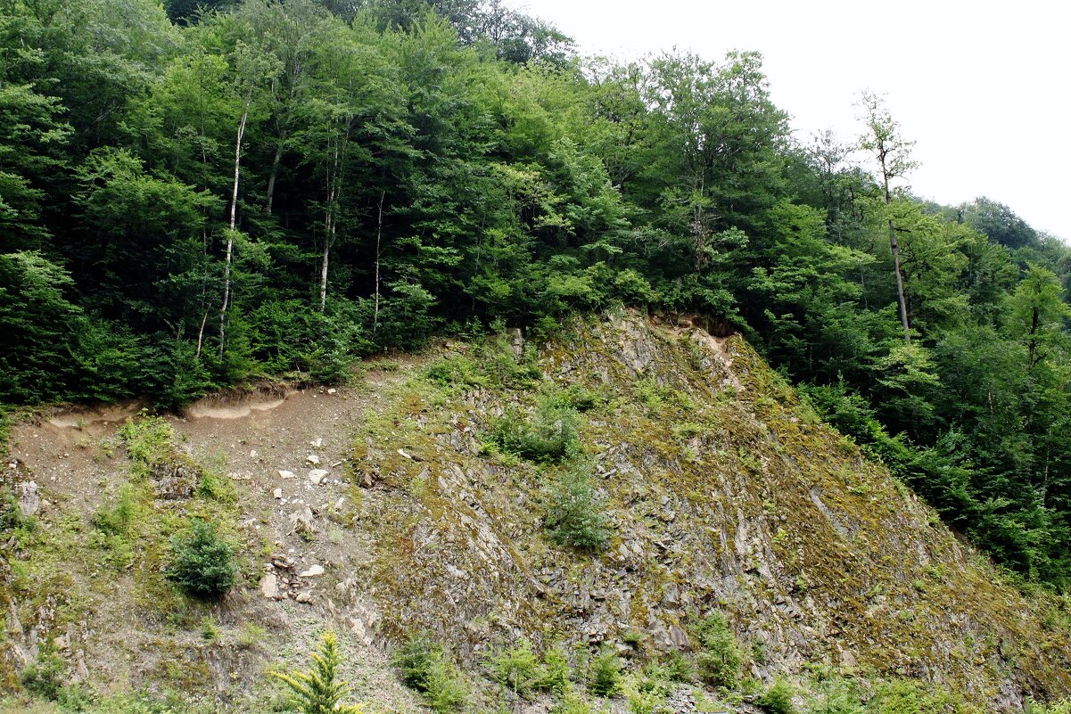 Обрыв. - sav-al-v Савченко