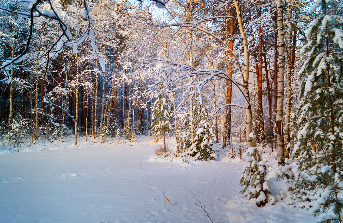 Ну вот и первые морозы - Оксана Галлямова