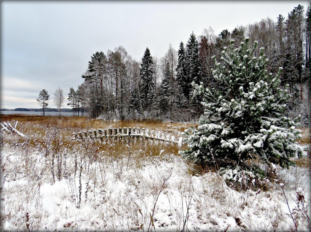 Природа Смоленского поозерья. - Ольга Митрофанова Природа Смоленского поозерья. - Ольга Митрофанова