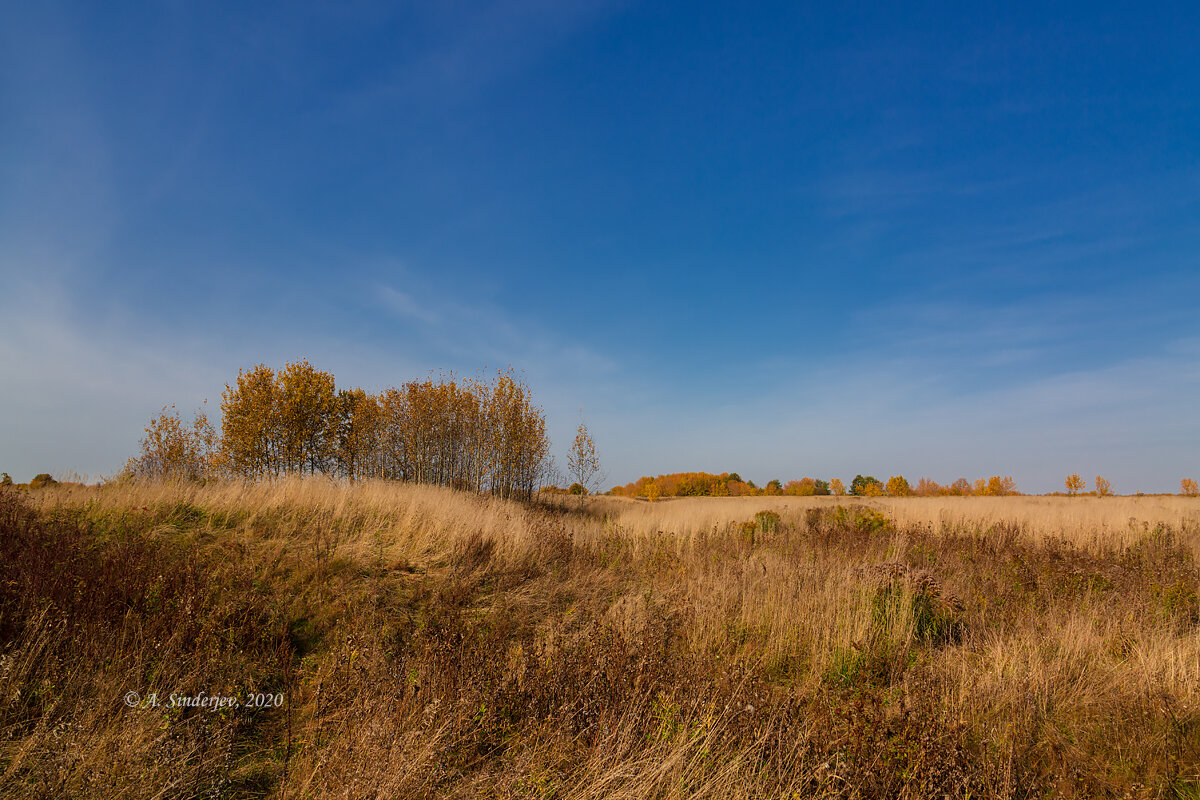 Осенний пейзаж - Александр Синдерёв