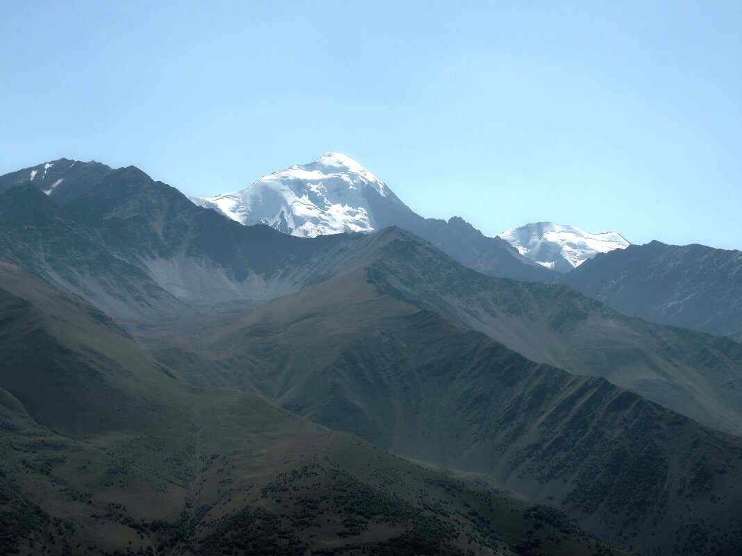Шау-хох - Роман Трофимов Шау-хох - Роман Трофимов