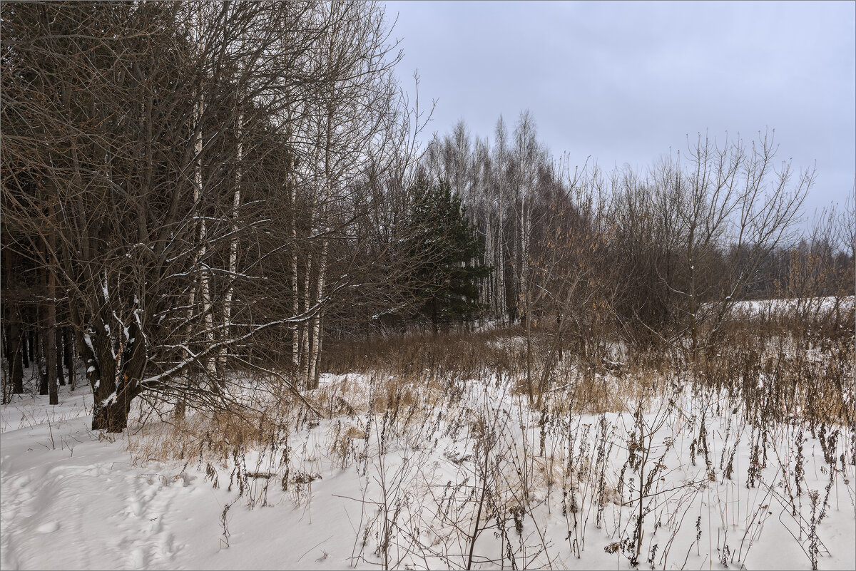 *** - Shapiro Svetlana *** - Shapiro Svetlana