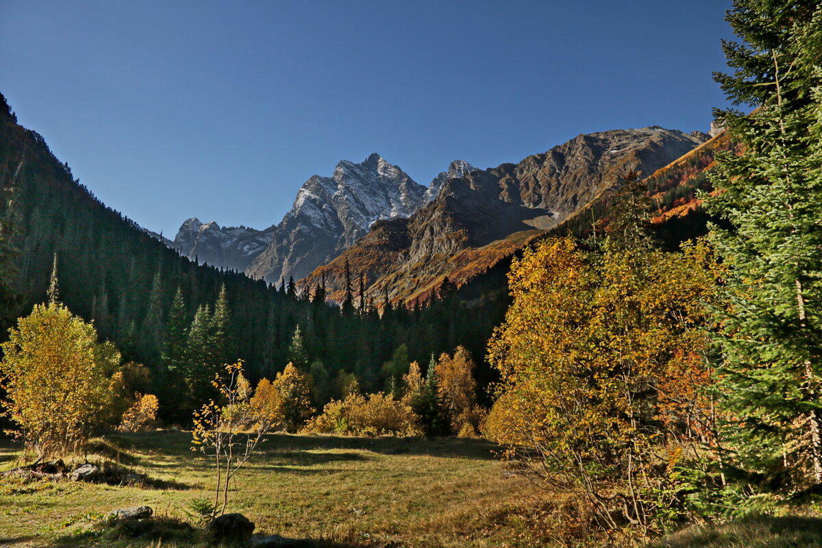 Поляна Косыгина. - Ирина Нафаня Поляна Косыгина. - Ирина Нафаня