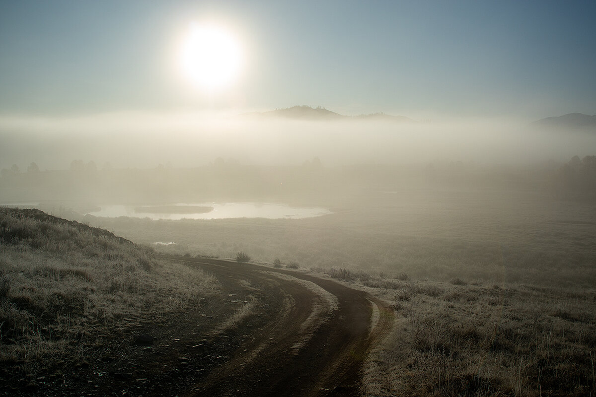 "Ёжик!" - Сергей Политыкин