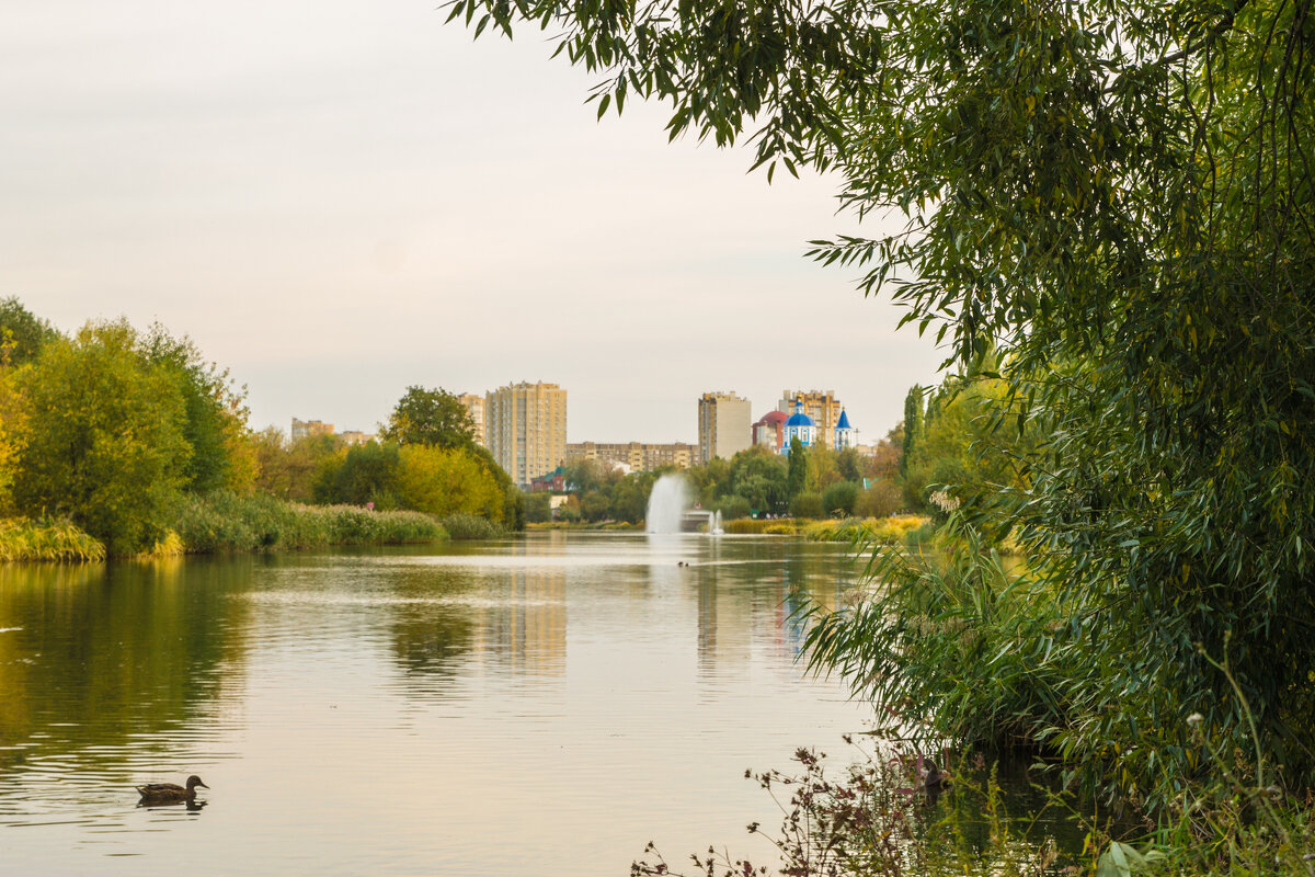 Тамбов набережная - Павел C Тамбов набережная - Павел C