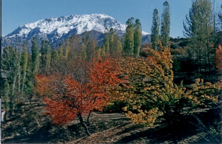 ПО НИЗАМ. - Виктор Осипчук