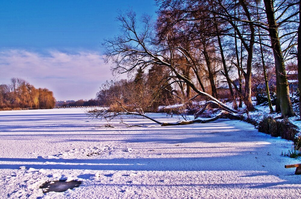зимний день - юрий иванов 