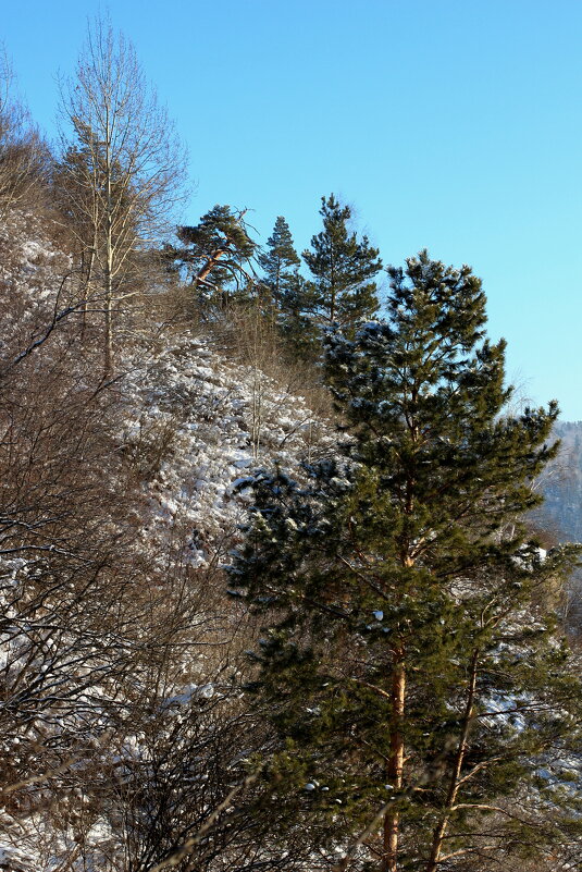 Прекрасный день!!! - Радмир Арсеньев