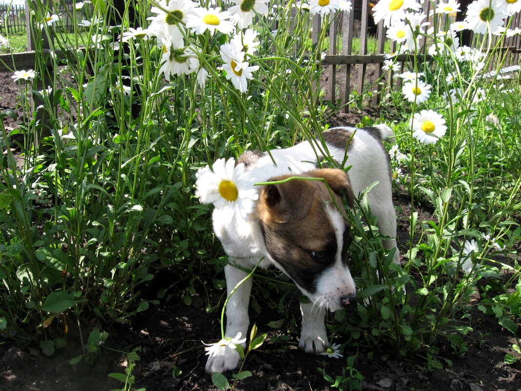 Стеснительная! - Надежда Стеснительная! - Надежда