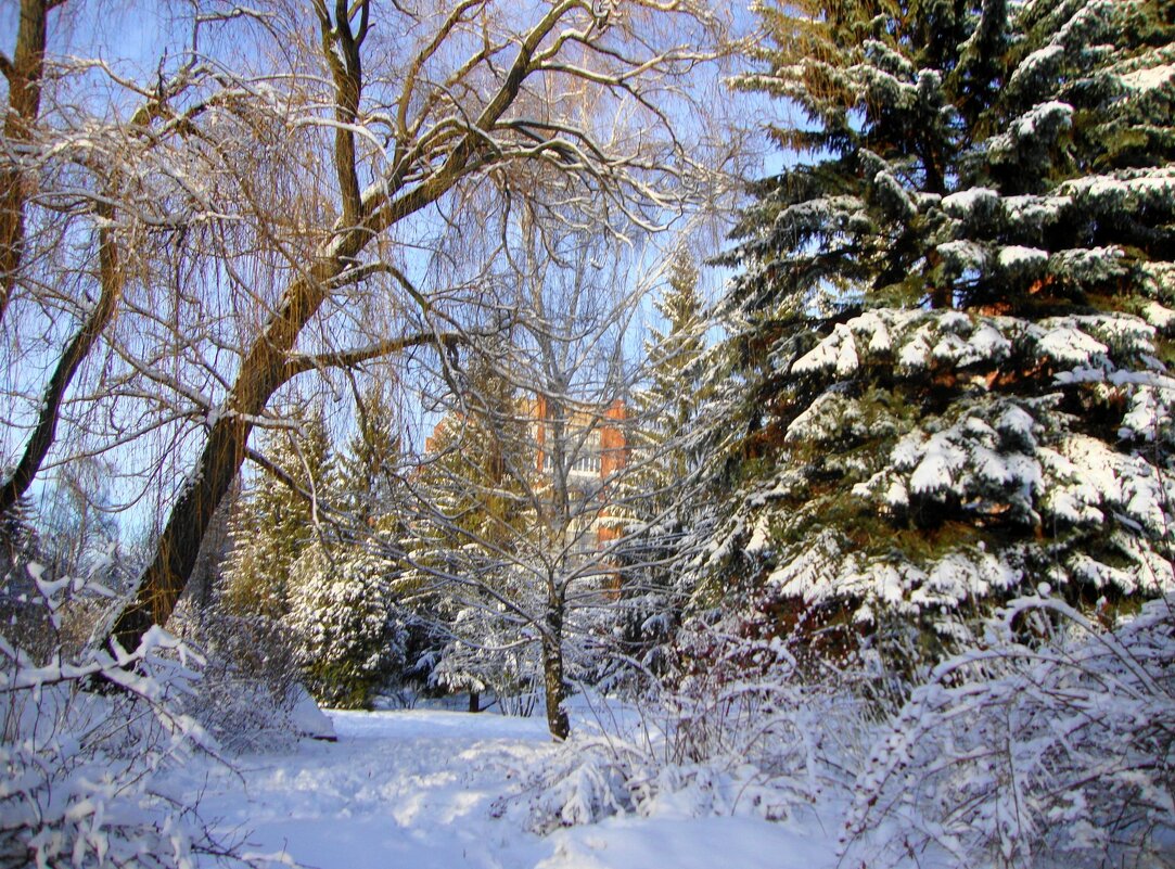 С Новым Годом! Здоровья и  удачи в добрых делах ! - Галина Флора