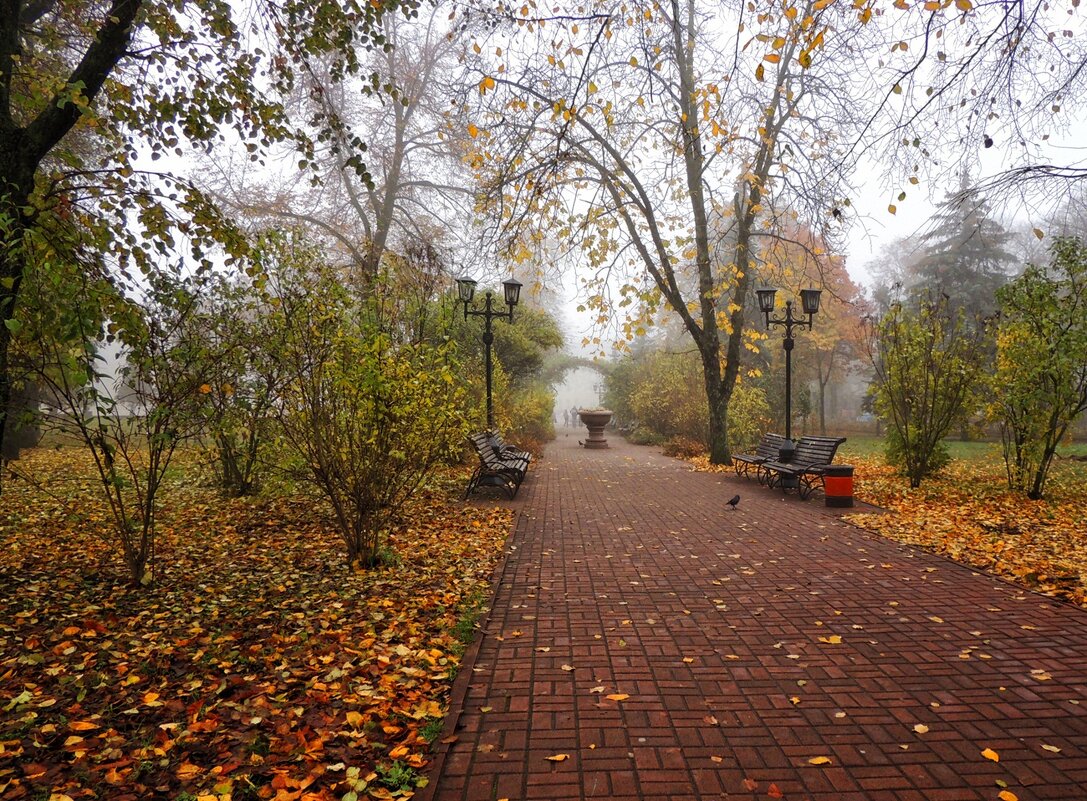 Осенний парк - Роман Савоцкий